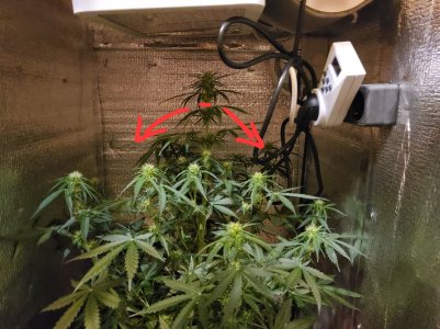 20221222_035950.jpg 20221222_035950.jpg