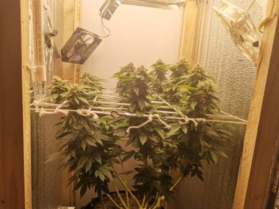 IMG_20221222_200529.jpg IMG_20221222_200529.jpg