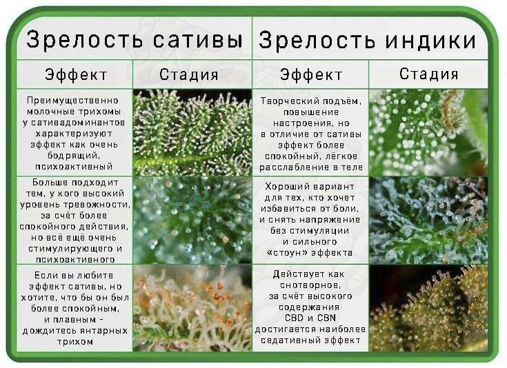 C569B5BC-CB59-427C-B391-F2E71AA2AD02.jpeg C569B5BC-CB59-427C-B391-F2E71AA2AD02.jpeg