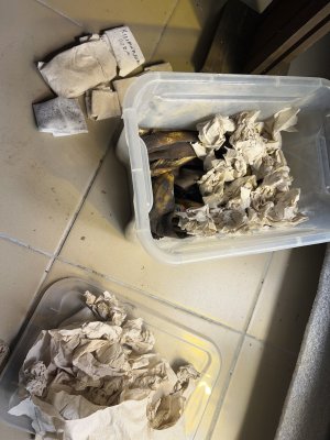 73E1F0B9-34EF-4FB7-86E9-B0D1084FDC06.jpeg 73E1F0B9-34EF-4FB7-86E9-B0D1084FDC06.jpeg