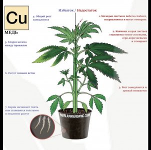 668A1D3D-07B9-40A8-BE7E-ED1EBF6D5AB2.jpeg 668A1D3D-07B9-40A8-BE7E-ED1EBF6D5AB2.jpeg