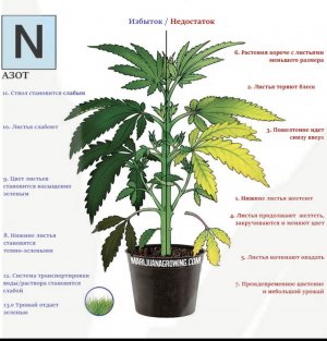 FF3E44ED-4ADC-4797-9A0F-43CD15094F21.jpeg FF3E44ED-4ADC-4797-9A0F-43CD15094F21.jpeg