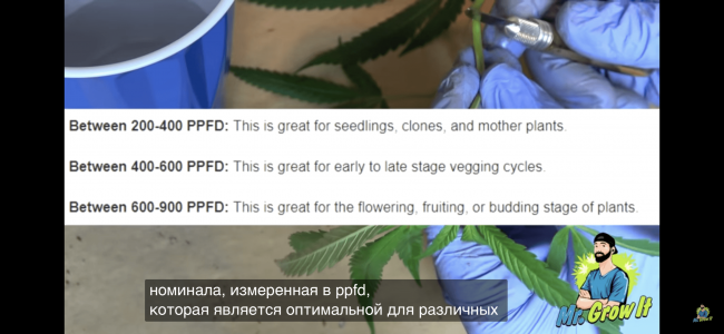 66DE8043-0745-4737-BF85-97ACE66ADDCF.png 66DE8043-0745-4737-BF85-97ACE66ADDCF.png