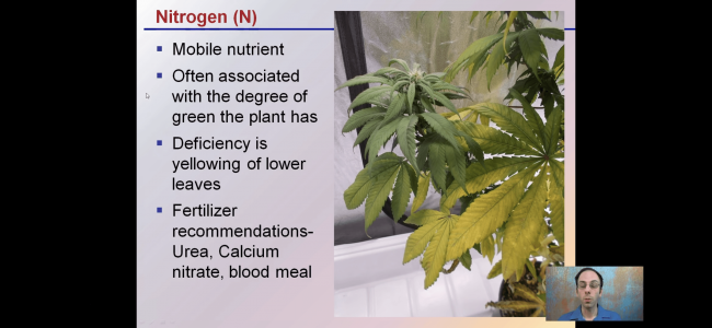 90480A31-4CA3-48AD-8067-9F91BFD87452.png 90480A31-4CA3-48AD-8067-9F91BFD87452.png