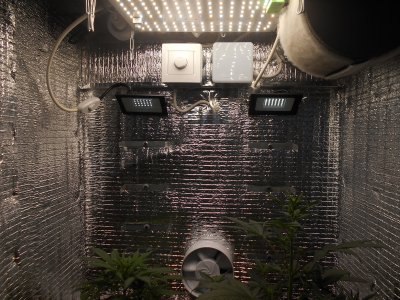 DSCN0427.JPG DSCN0427.JPG