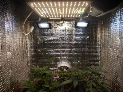 DSCN0431.JPG DSCN0431.JPG