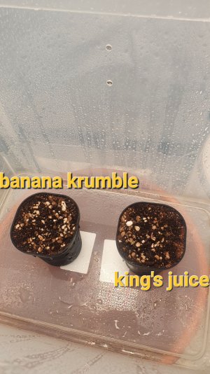 20221225_194824.jpg 20221225_194824.jpg