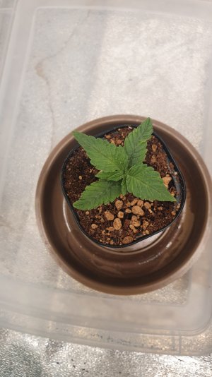 20230103_091111.jpg 20230103_091111.jpg