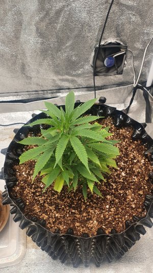 20230103_023326.jpg 20230103_023326.jpg