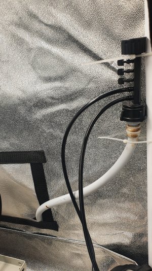 20230104_204838.jpg 20230104_204838.jpg