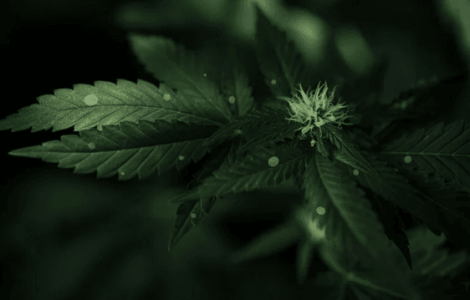 1673356407549.png 1673356407549.png