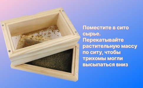 Как сделать гашиш в домашних условиях