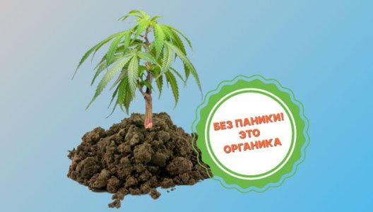 Органический супергрунт для конопли