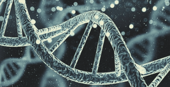 1629983761792.png 1629983761792.png