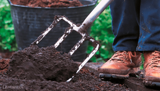 Подготовка грунта для конопли в аутдоре Подготовка грунта для конопли в аутдоре