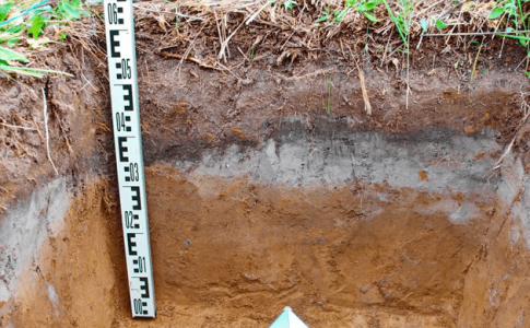 1630244760419.png 1630244760419.png