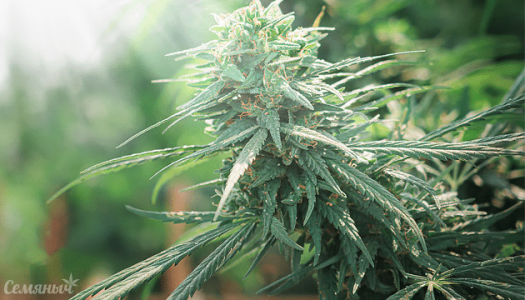 1630586384598.png 1630586384598.png