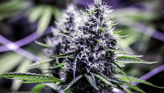 1630586961948.png 1630586961948.png