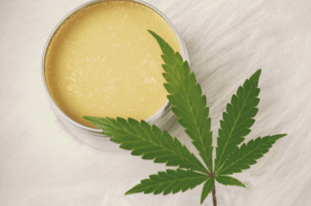 1631191801061.png 1631191801061.png