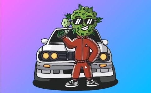 сорт конопли Diesel