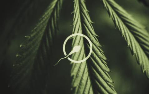 1631875211140.png 1631875211140.png