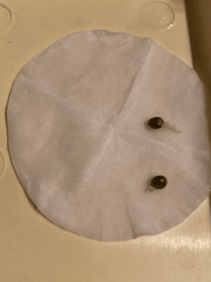 1673892140956.png 1673892140956.png