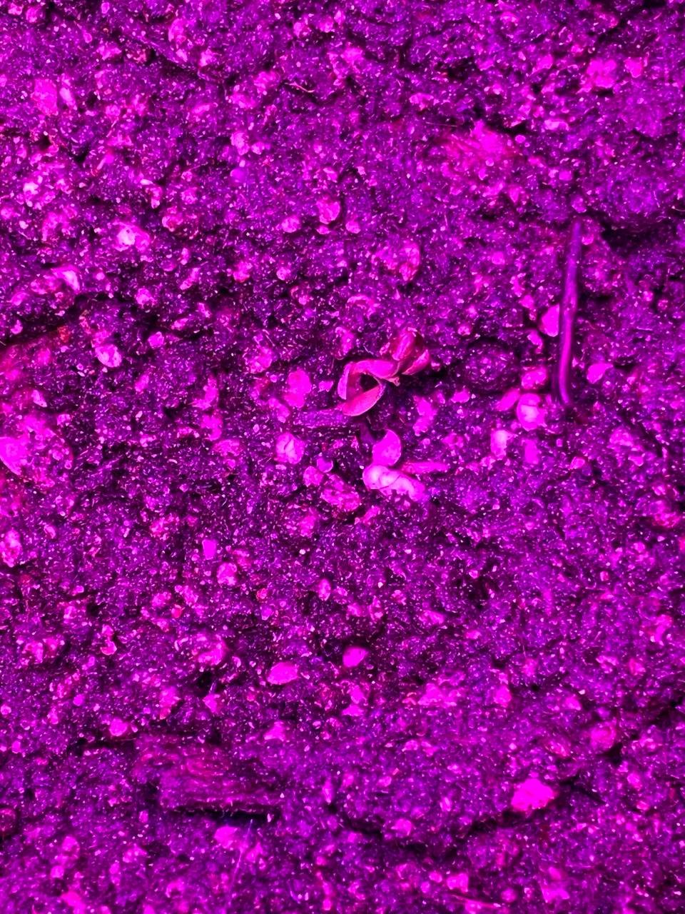 1673893063091.jpeg 1673893063091.jpeg