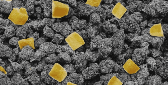 1674149835782.png 1674149835782.png