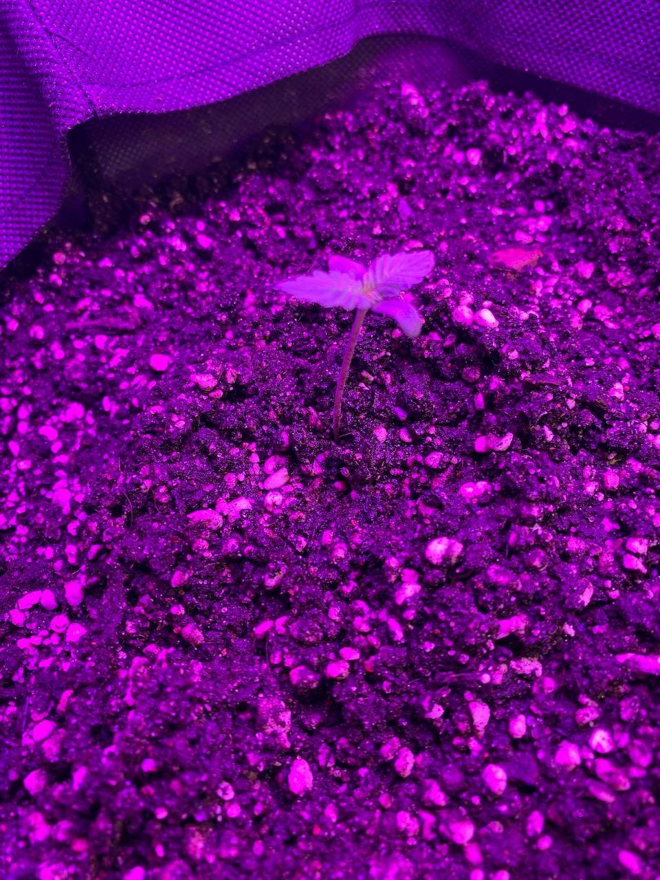 photo1674238263.jpeg photo1674238263.jpeg