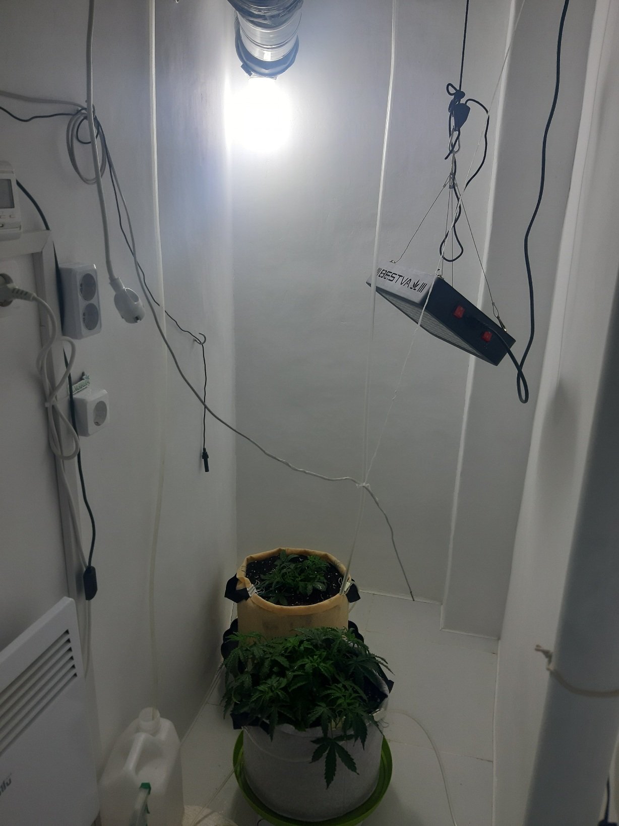 20230122_084735.jpg 20230122_084735.jpg