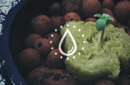 1675701110954.png 1675701110954.png