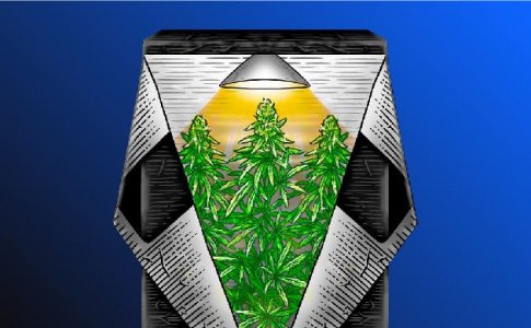 Автоматизация гроубокса Автоматизация гроубокса