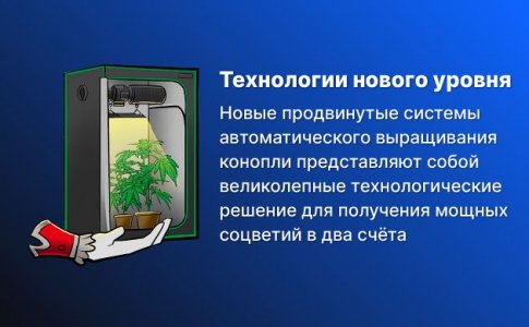 гроубокс гроубокс