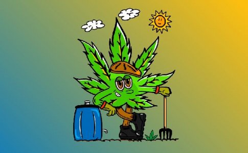 Безопасное место высадки