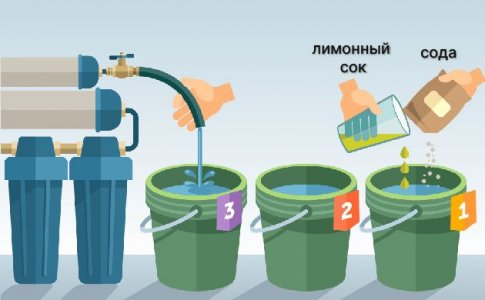 Правила процедуры Правила процедуры