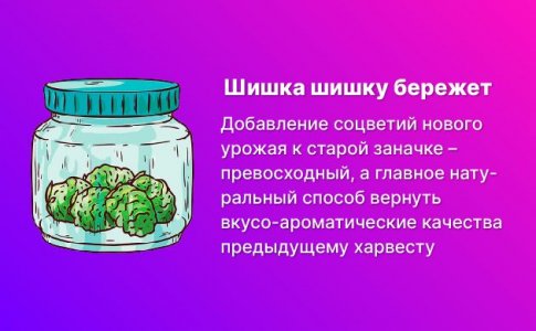 Долгосрочный период (недели)