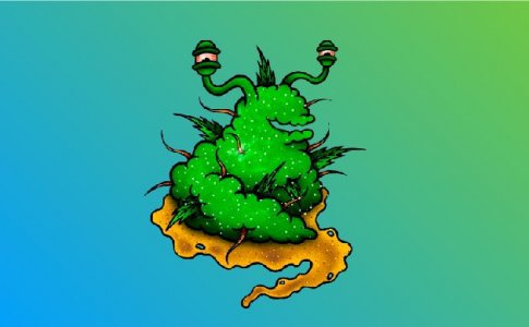 Ускорение цветения и созревания конопли Ускорение цветения и созревания конопли