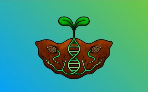 Присмотритесь к автоцветам Присмотритесь к автоцветам