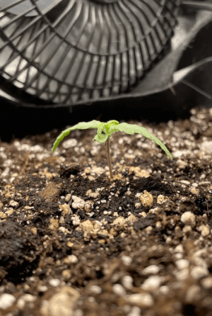 1675920469379.png 1675920469379.png