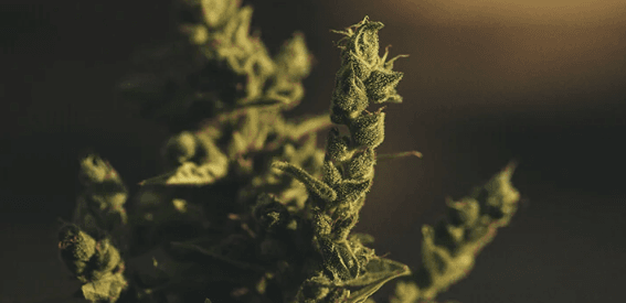 1676021638652.png 1676021638652.png