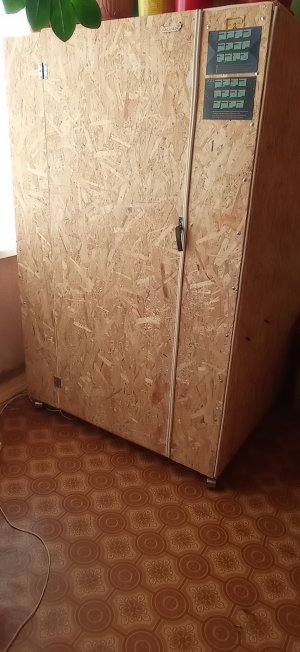 IMG_20230212_090006.jpg IMG_20230212_090006.jpg