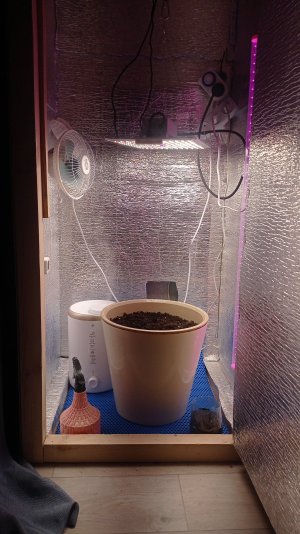 IMG_2023_02_15_12_29_46_0128788056568696779991.jpg IMG_2023_02_15_12_29_46_0128788056568696779991.jpg