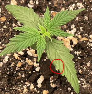 15.02.2023.png 15.02.2023.png