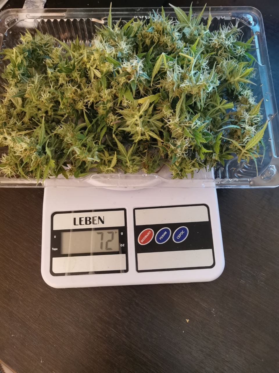 80 — копия.jpg