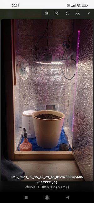 Screenshot_2023-02-16-20-31-38-680_com.android.chrome.jpg Screenshot_2023-02-16-20-31-38-680_com.android.chrome.jpg