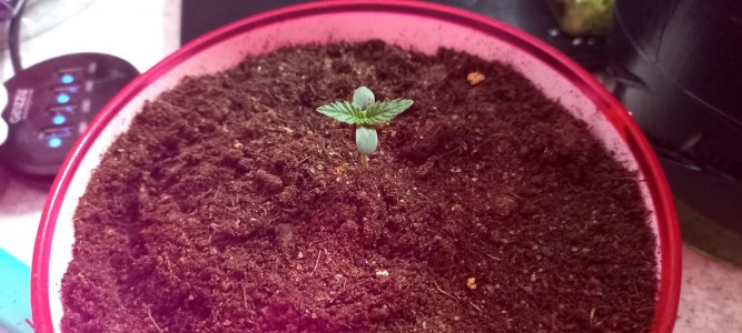 UwJzbmJsOXE.jpg UwJzbmJsOXE.jpg