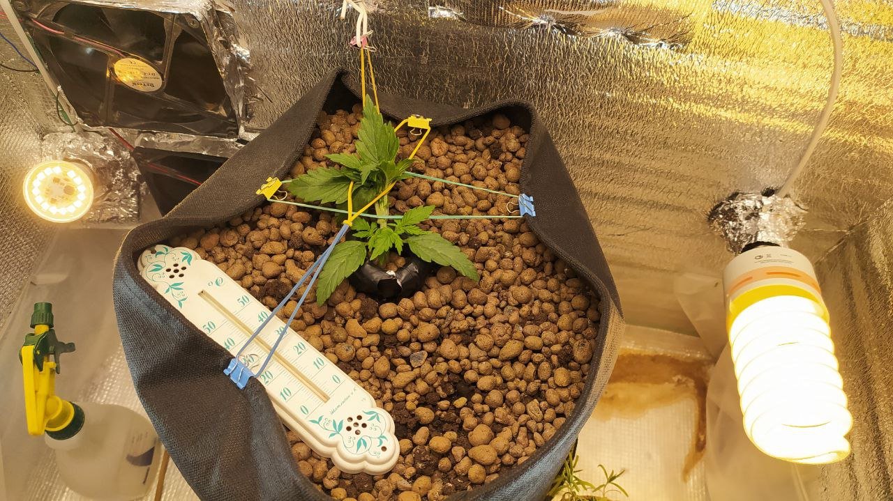 photo_2023-02-21_16-47-52.jpg photo_2023-02-21_16-47-52.jpg