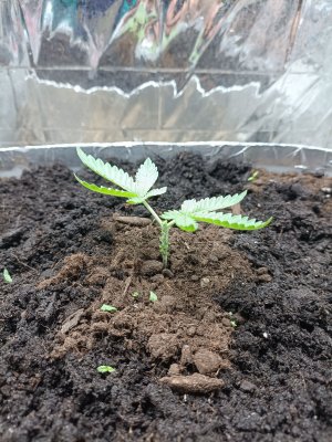 IMG_20230223_090027.jpg IMG_20230223_090027.jpg