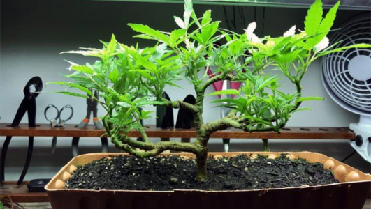 1677151086930.png 1677151086930.png