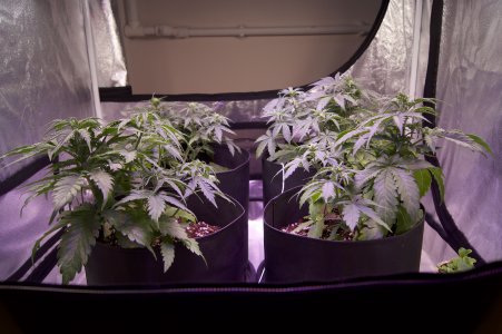 DSC04437.jpeg DSC04437.jpeg